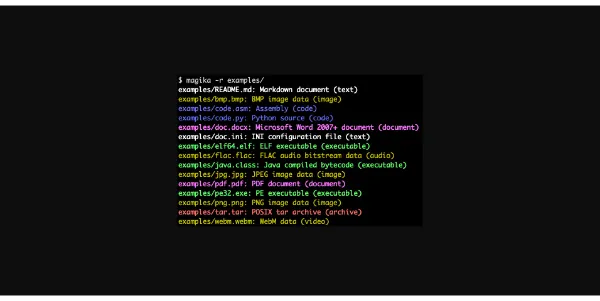 magika ai google files detection 62d592cafdb0