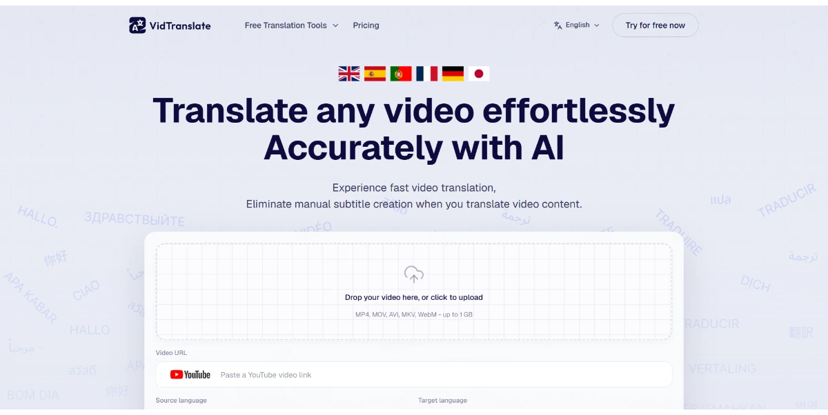VidTranslate