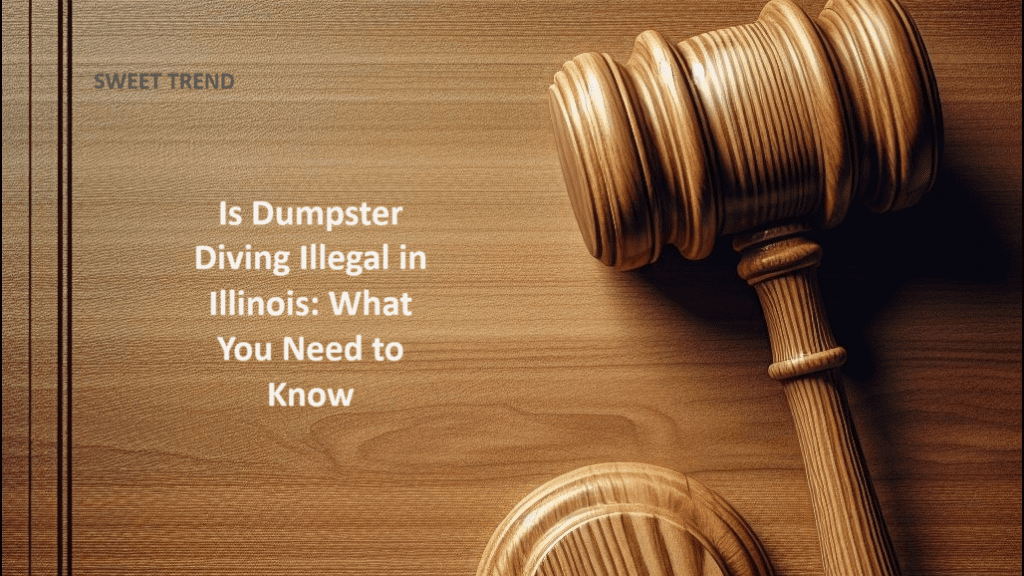 Is Dumpster Diving Illegal in Illinois