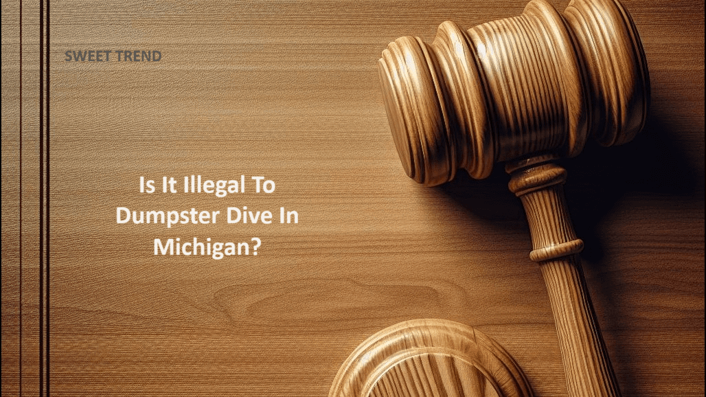 Is Dumpster Diving Illegal in Michigan