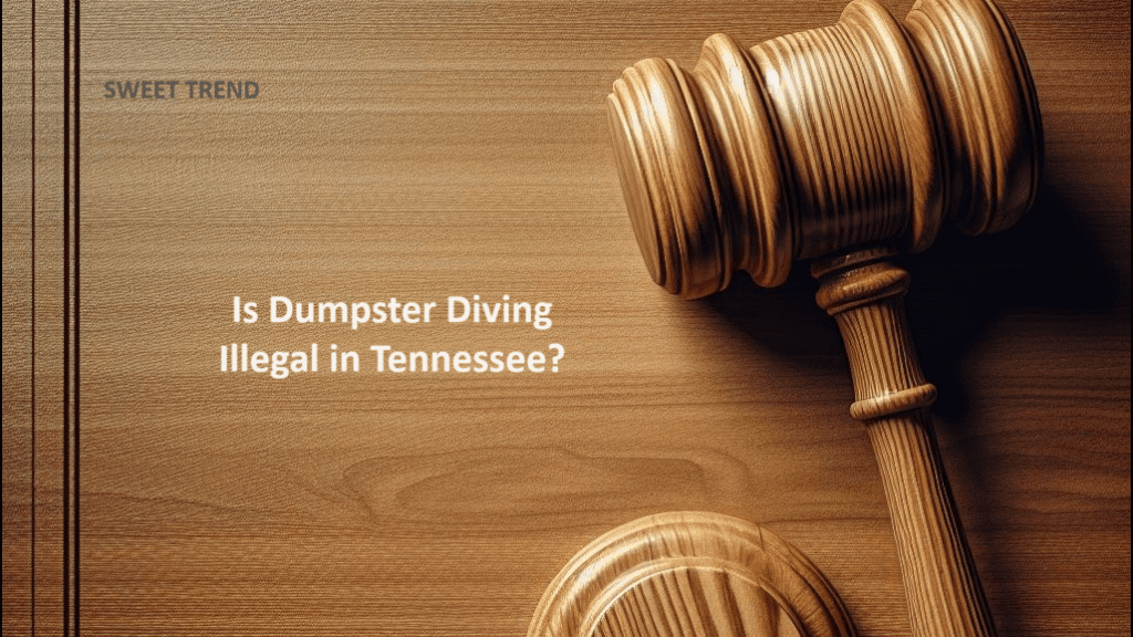 Is Dumpster Diving Illegal in Tennessee